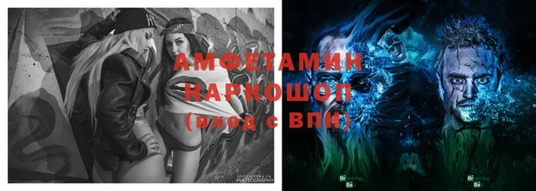 стаф Надым