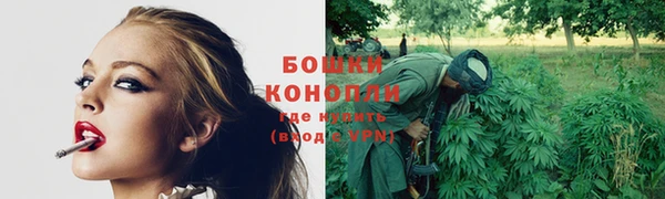 амф Михайловка