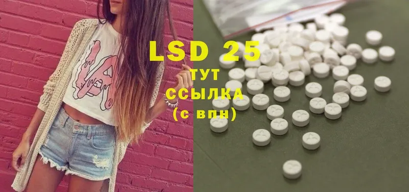 Лсд 25 экстази ecstasy  Каргополь 