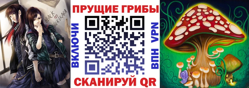 купить  цена  Каргополь  Псилоцибиновые грибы GOLDEN TEACHER 